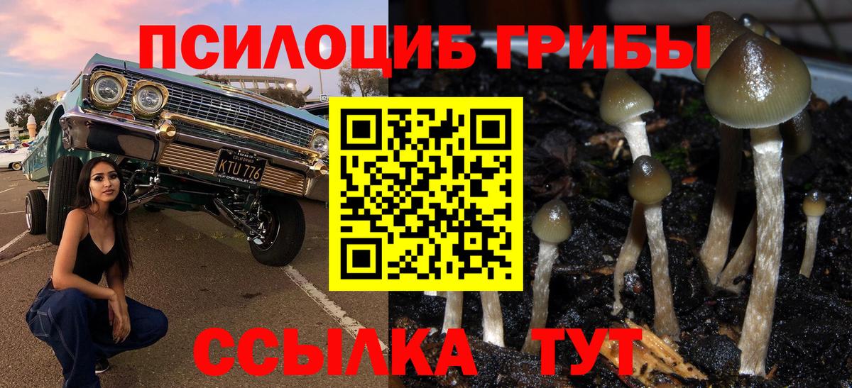 Галлюциногенные грибы мицелий  Вход с VPN  Волоколамск 